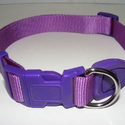 Collar Nylon Deluxe Purple