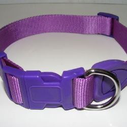Collar Nylon Deluxe Purple