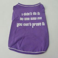 I didn`t do it no one saw me you can`t prove it
