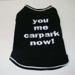 You me carpark now 30cm