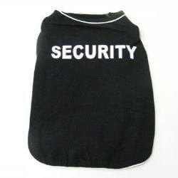 Secrurity 30cm