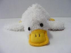 White Duck